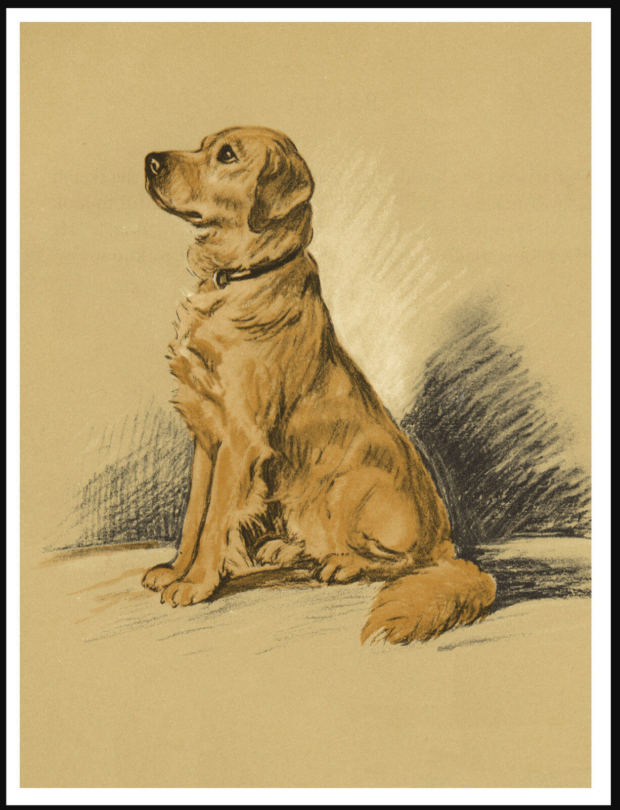 GOLDEN RETRIEVER SEATED DOG LOVELY IMAGE VINTAGE STYLE DOG ART PRINT POSTER
