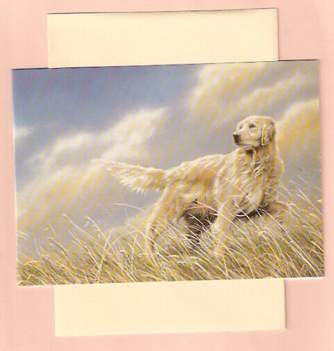 Golden Retriever Note Card Notecards A Breezy Day Paul Doyle Pack  5 LAST ONE!*