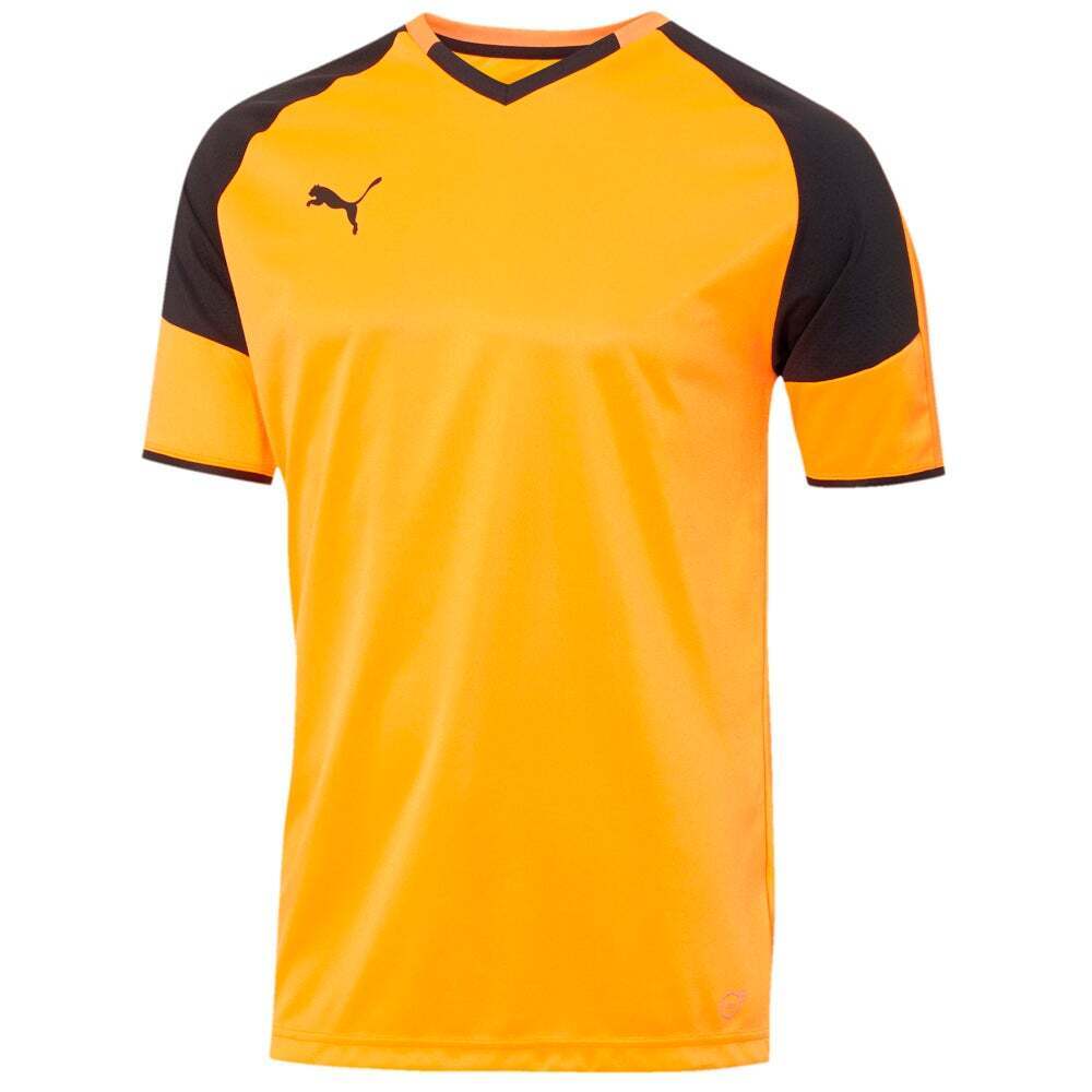 Puma 703038-10-Y Borussia V-Neck  Jersey  Kids Boys Soccer Cleats      - Orange