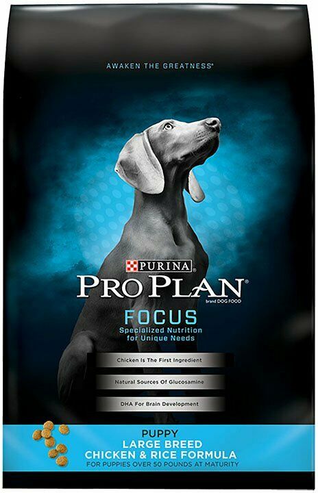 Purina Pro Plan Puppy Large Breed Chicken & Rice Formula With Probiotics 34-lb