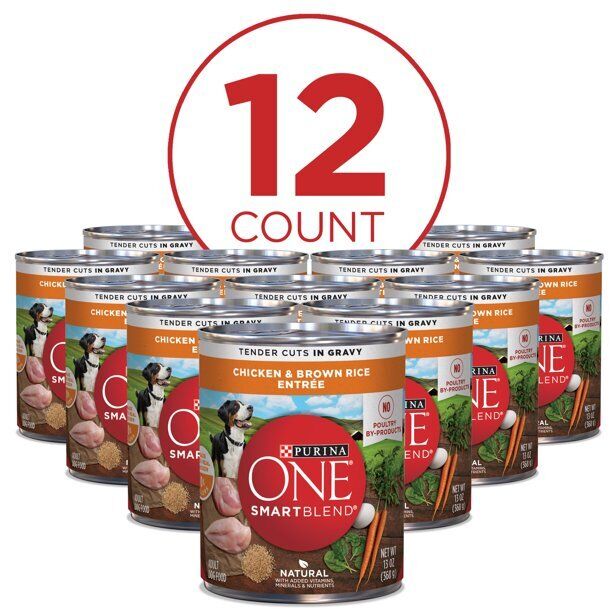 🔥Purina ONE Natural, High Protein Wet Dog Food, Chicken & Brown Rice 🔥12 Cans